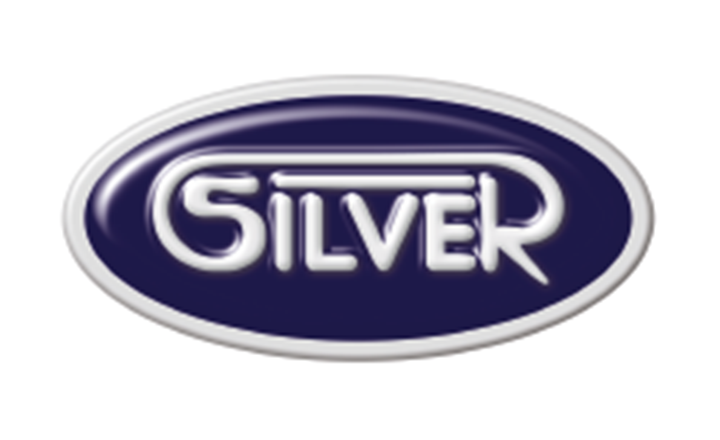 Silver Logo